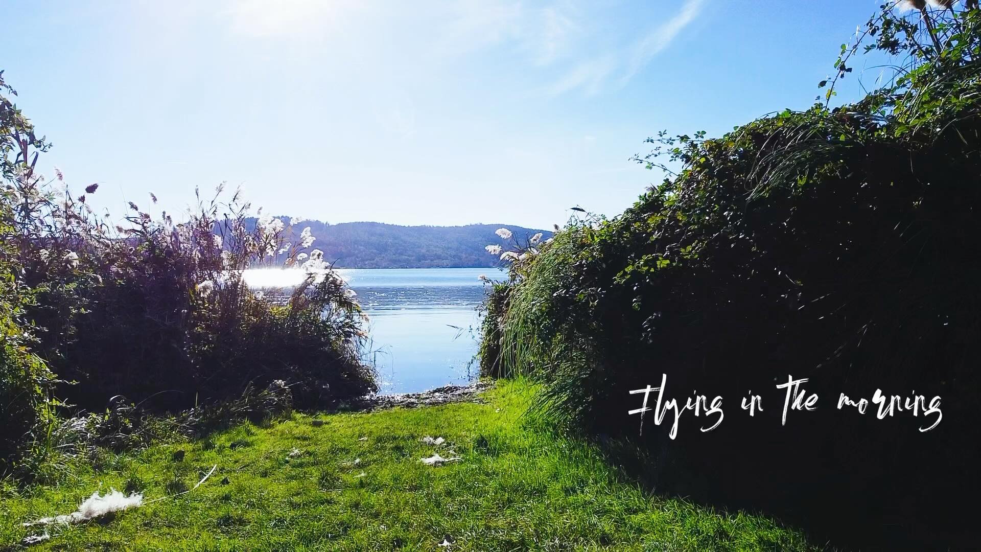 Flying in the morning - Lago di Comabbio 

#djiglobal #djimini2 #drone #dronephotography #lake #comabbio #ternate #lagodicomabbio #novembre  #lombardia #varese #vareseturismo @lagodicomabbio  @pistaciclopedonalelagocomabbio @varesenews